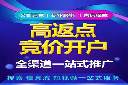 百度竞价账户管理攻略：实战案例与技巧分享